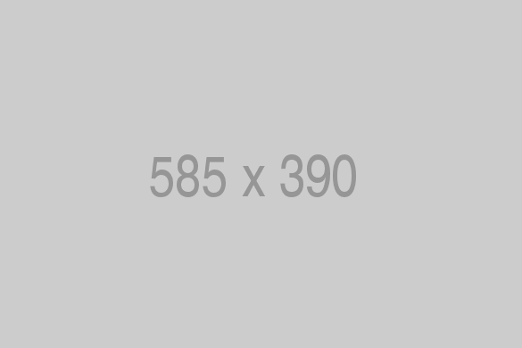 services-01